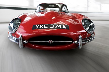 Happy Birthday Jaguar
