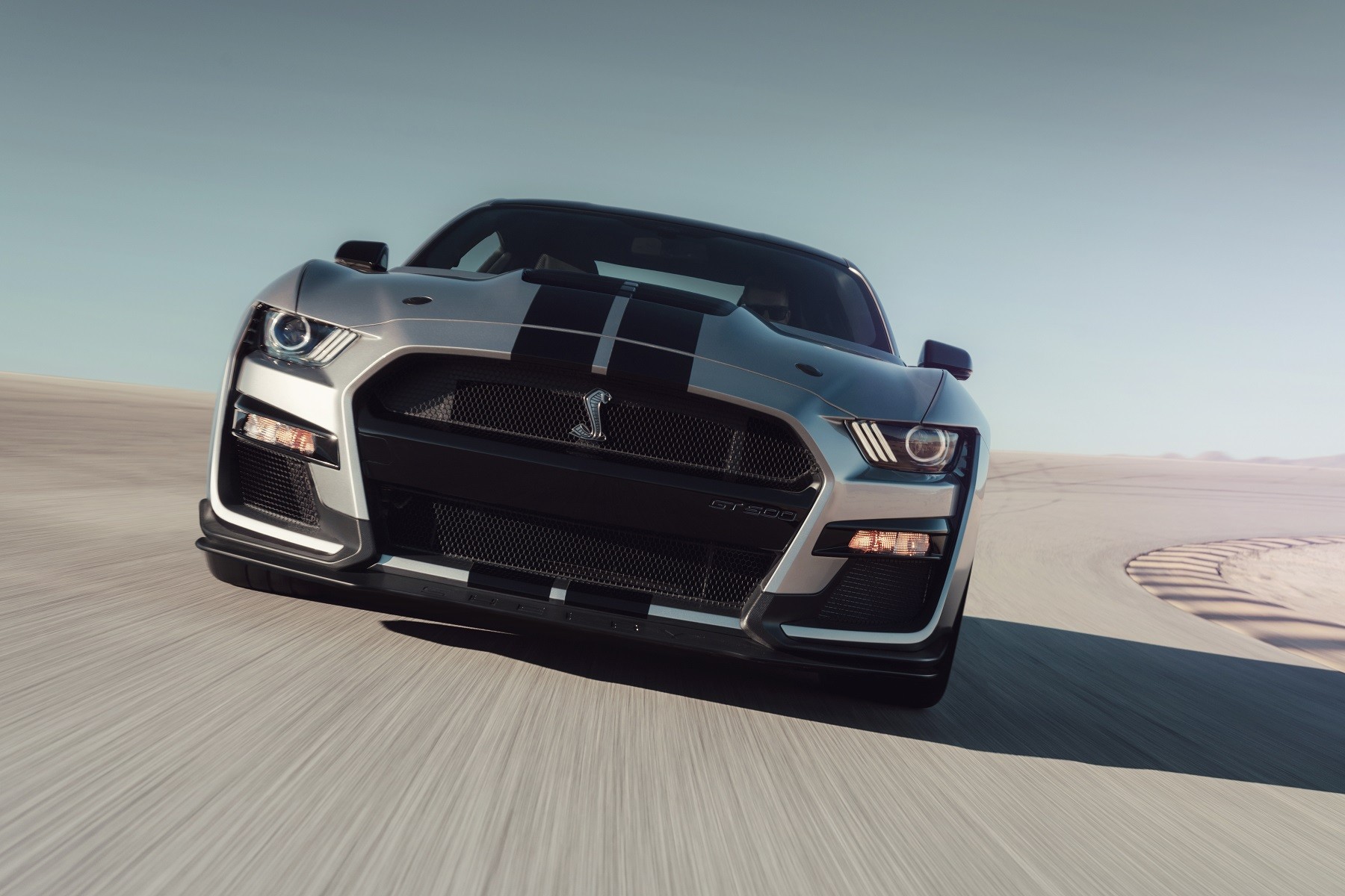 Ford Mustang Shelby GT500 (2019) : avant gris