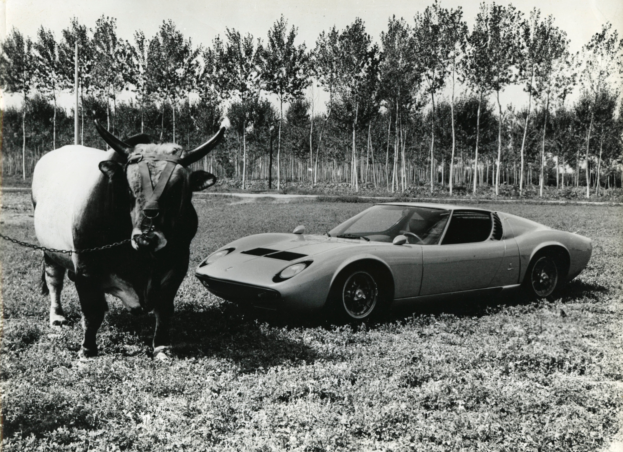 Lamborghini Miura