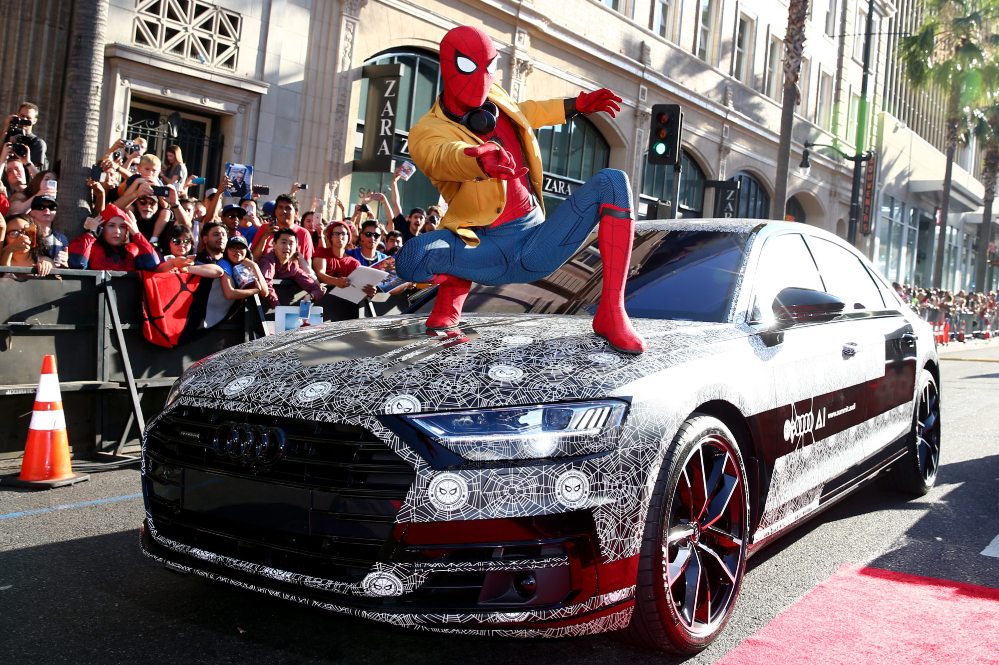 tom Holland