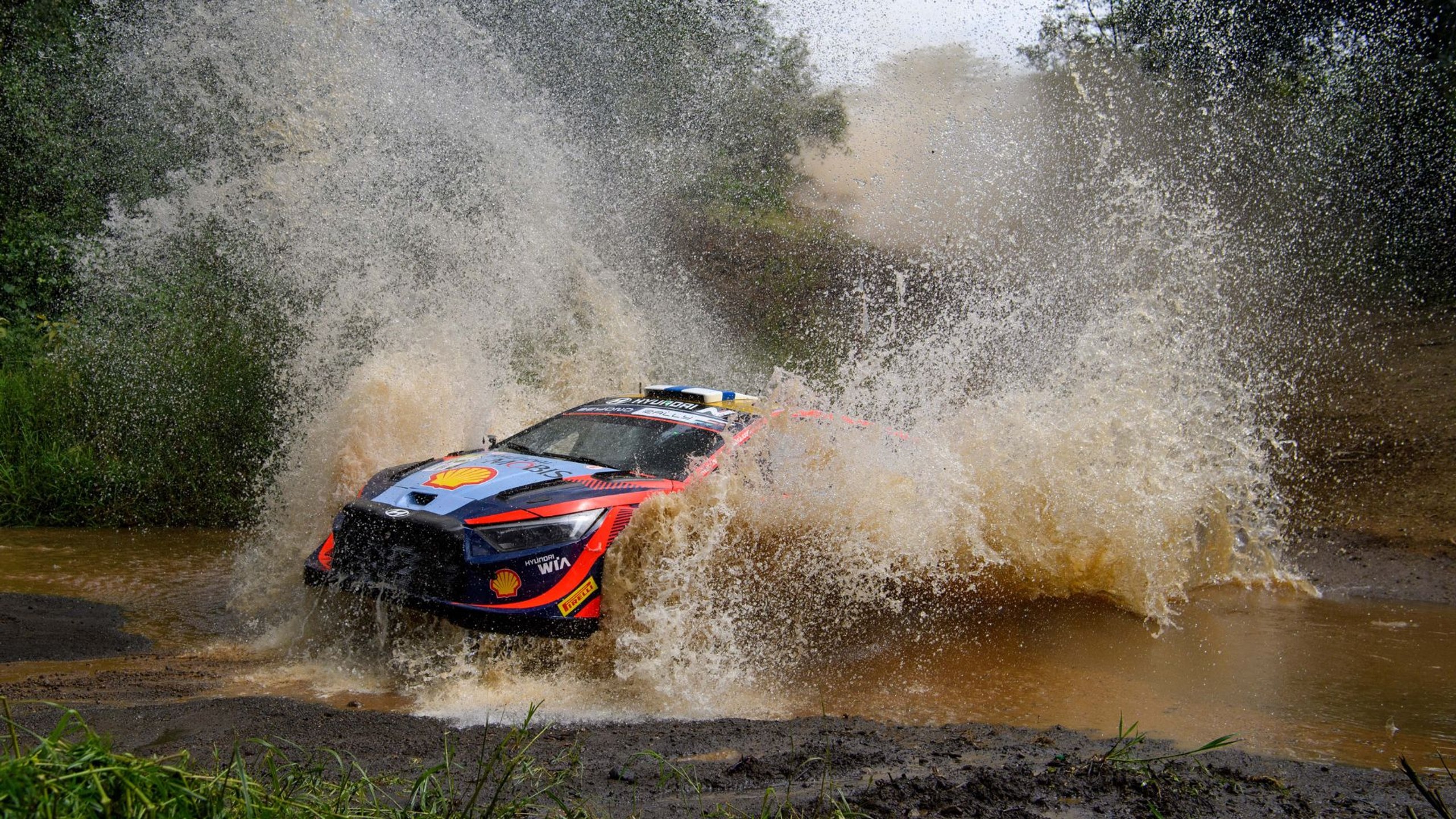 WRC Safari Rallye Kenya 2024