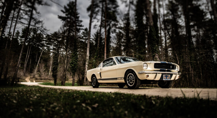 Retour aux sources - Shelby Mustang GT350 (1966) : mythe à l'Américaine...