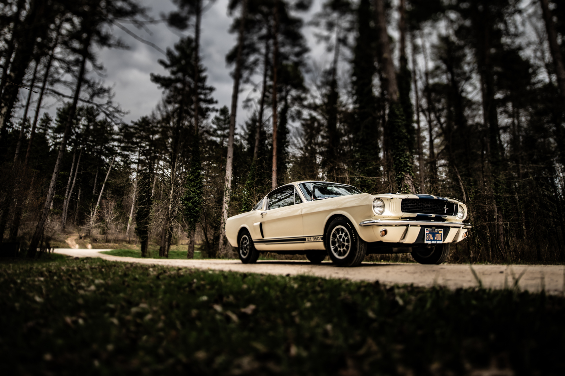 Shelby Mustang GT350 (1966)