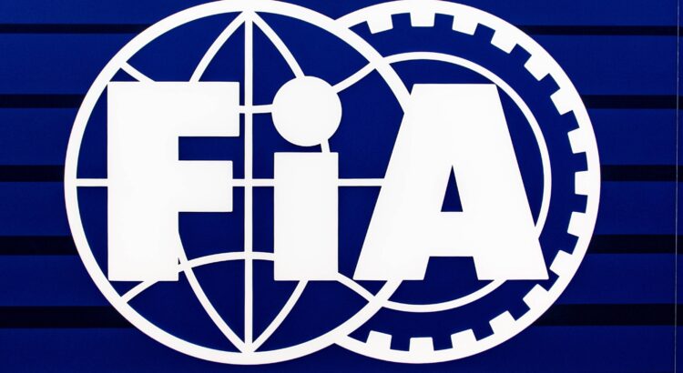 Elections FIA 2025 : qui sont les candidats déclarés à la présidence ?