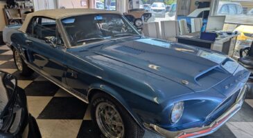 Shelby GT500 KR