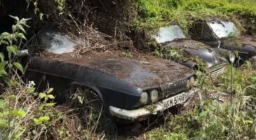 Reliant Scimitar GTE