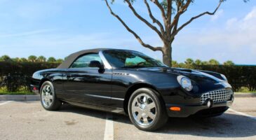 Ford Thunderbird de 2002