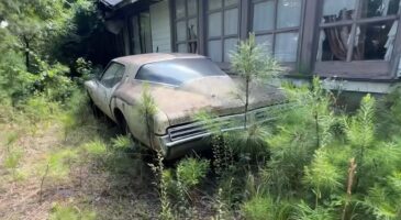 manoir abandonné