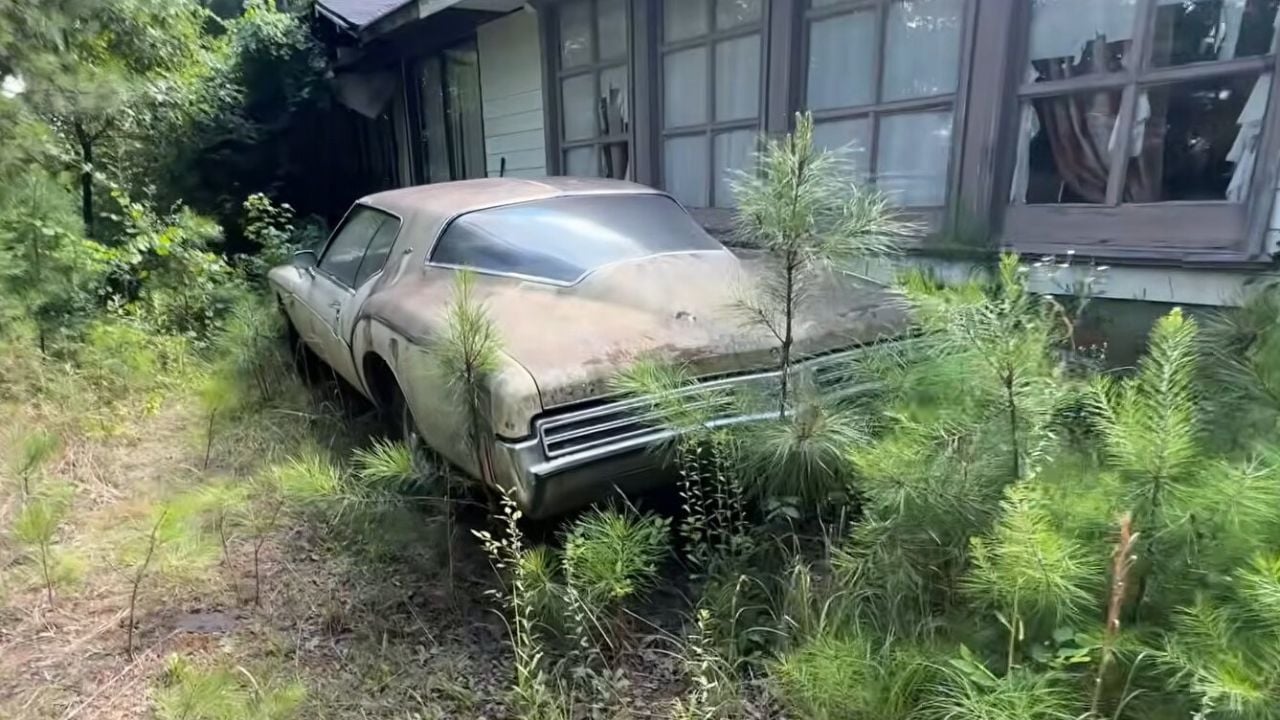 Pontiac GTO, Chevelle, Challenger… ce manoir abandonné renferme une casse automobile hors du commun