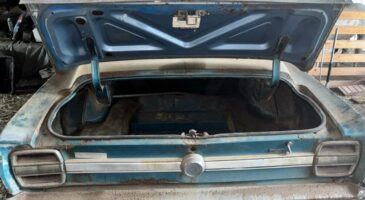 Ford Cobra