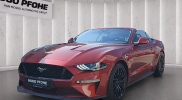 Ford Mustang GT Occasion